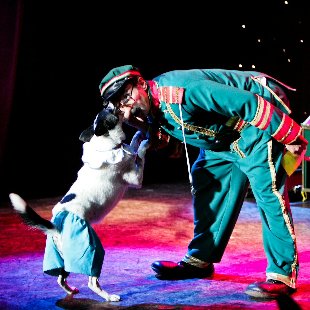 V Theater Las Vegas: Popovich Comedy Pet Theater - Photo 1 of 6